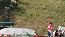 24. Juni 2006 - Eglisau