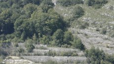 5. August 2007 - Biel
