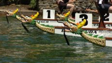 30. Juni 2008 - Eglisau