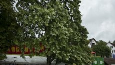 27. Juni 2009 - Eglisau
