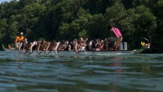 28. Juni 2009 - Eglisau