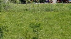 28. Juni 2010 - Eglisau